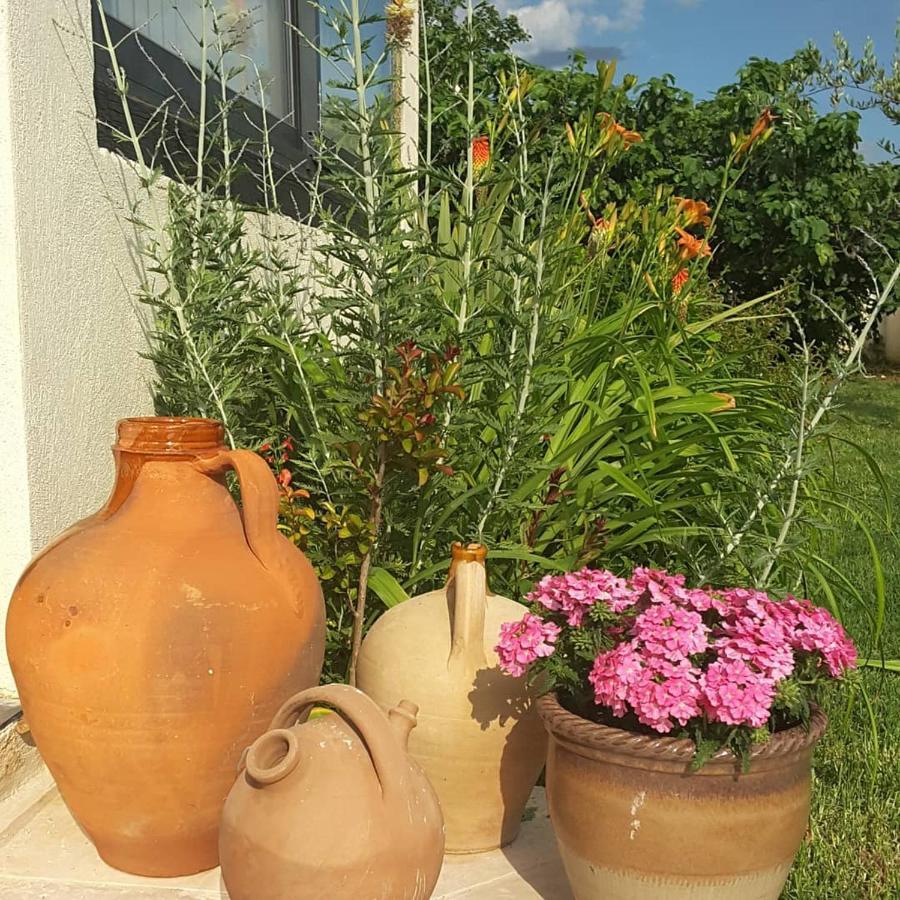 Philoxenia Bed and Breakfast Pourrieres Buitenkant foto