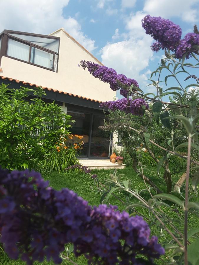 Philoxenia Bed and Breakfast Pourrieres Buitenkant foto